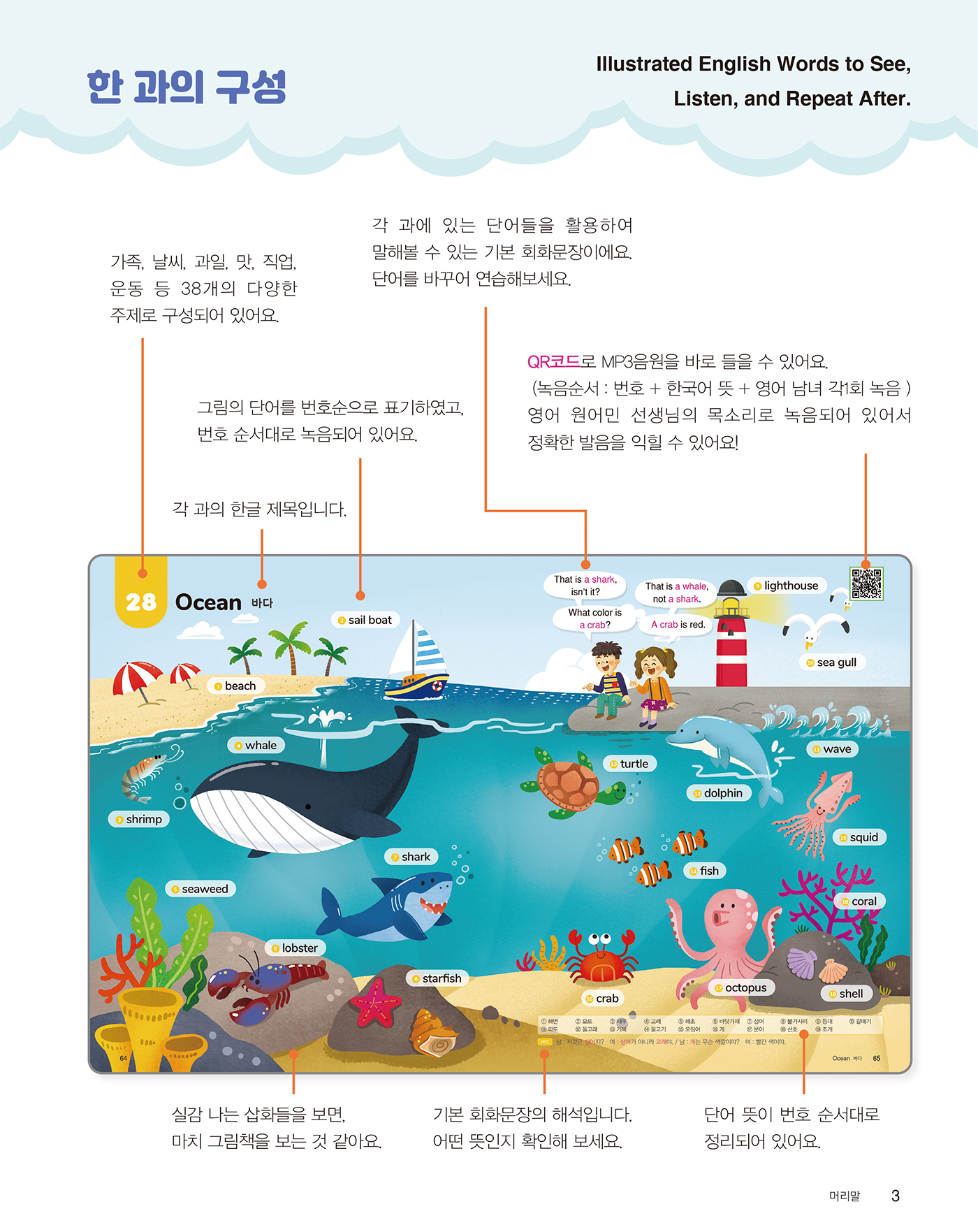 New 보고 듣고 따라하는 그림 영어 단어(개정2판 · 음원QR코드)